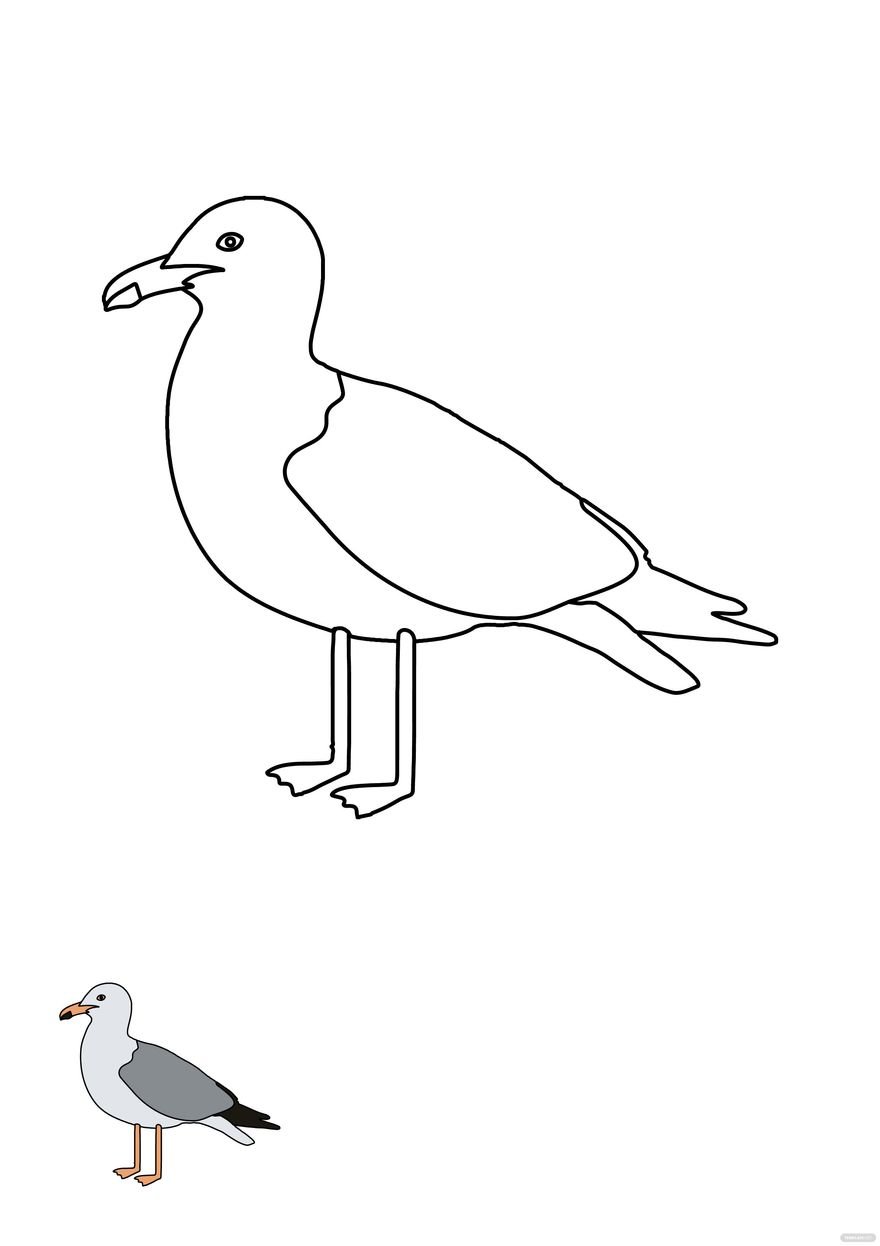 Free seagull coloring page