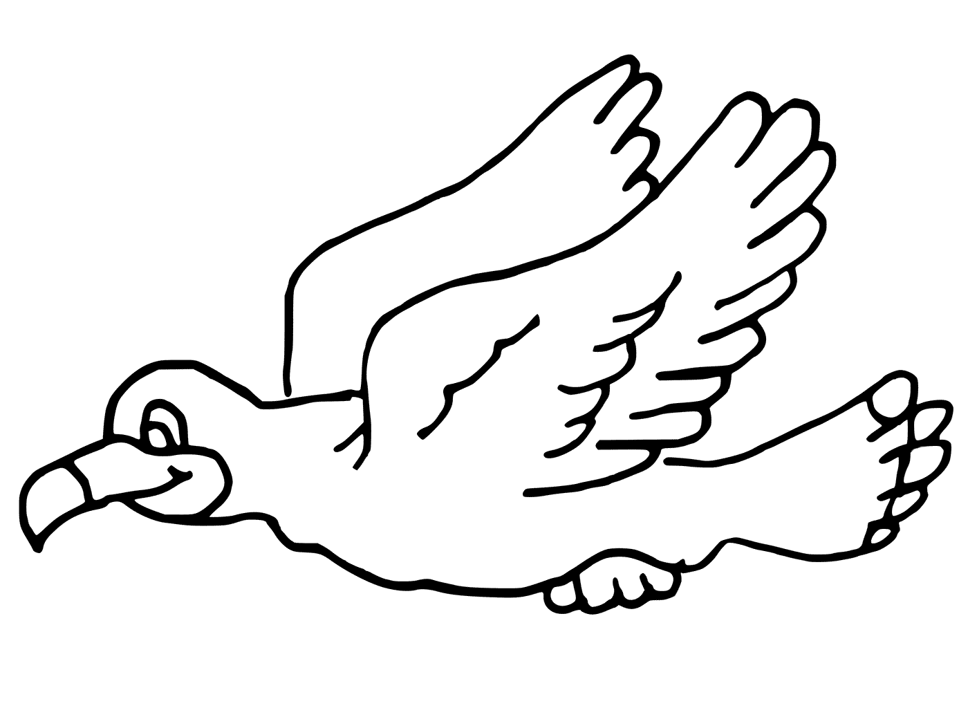 Seagull coloring pages