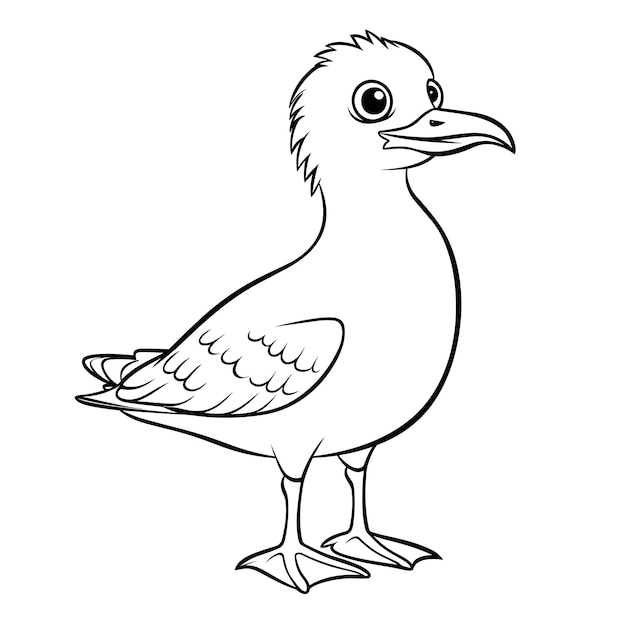 Premium vector seagull coloring pages vector animals