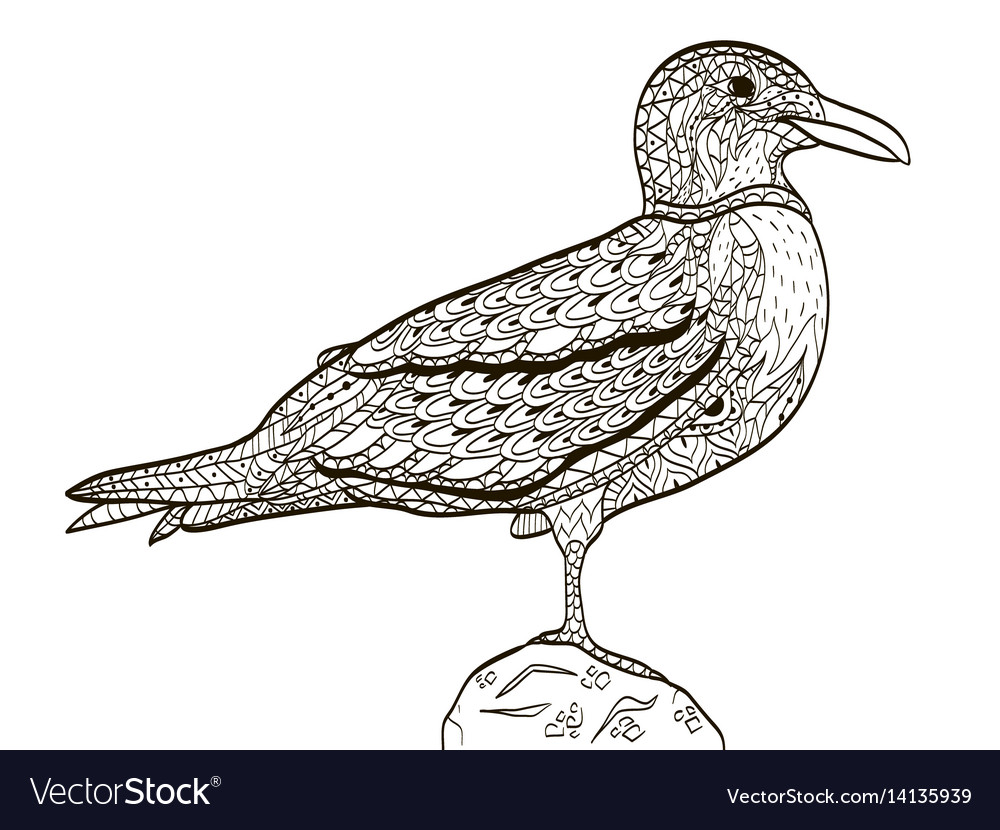 Bird seagull coloring book for adults royalty free vector