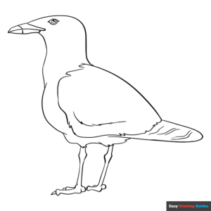 Seagull coloring page easy drawing guides