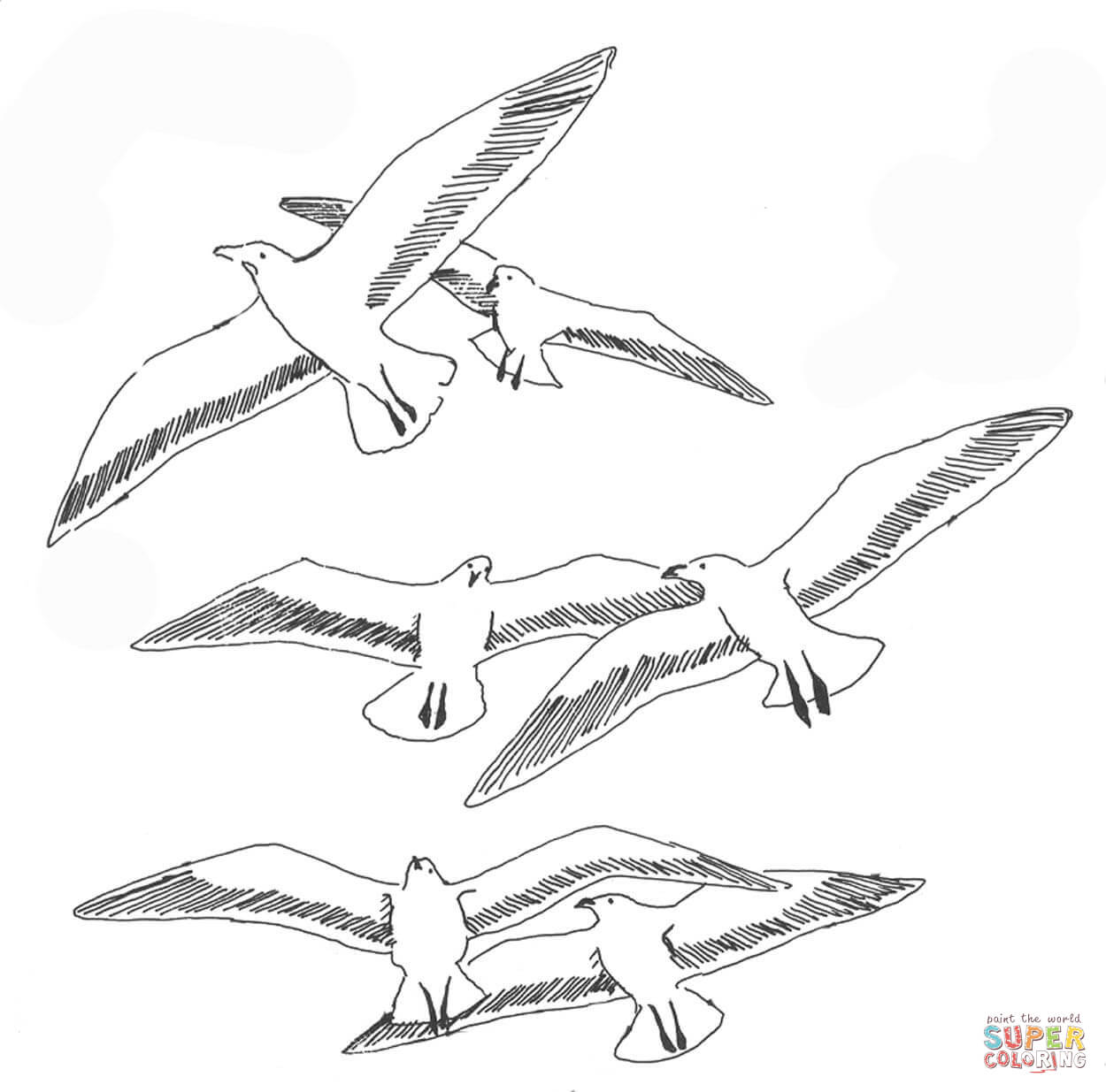 Seaguls coloring page free printable coloring pages