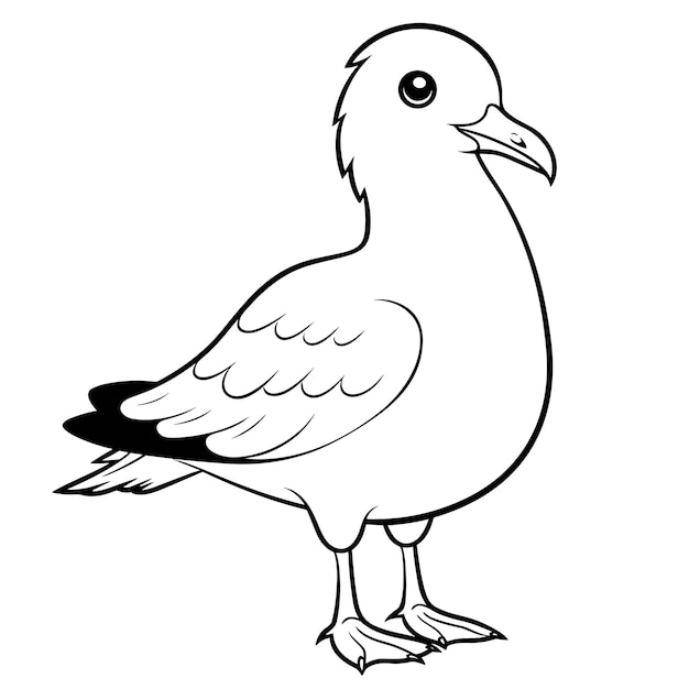 Premium vector seagull coloring pages vector animals