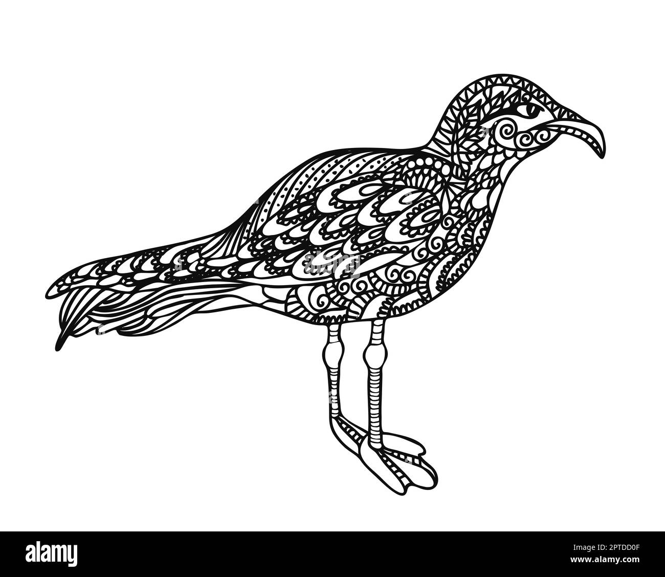 The bird is black and white seagull coloring page linear drawing animal antistress coloring page vector illustration isolated on a white backgroun stock photo