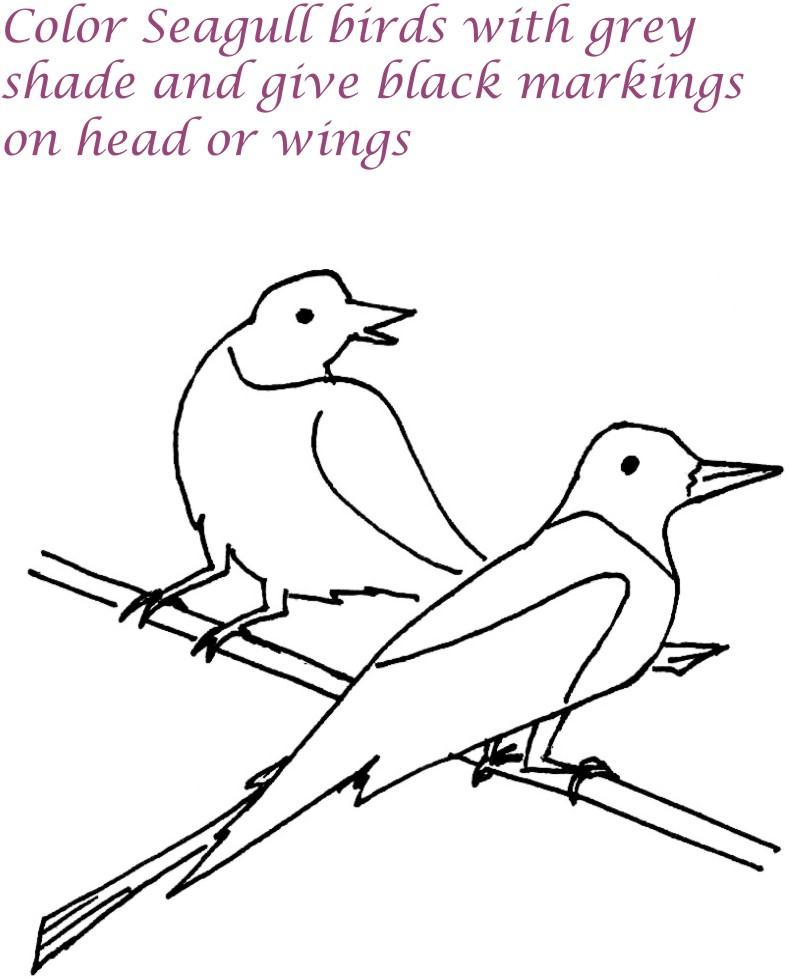 Seagull birds printable coloring page for kids