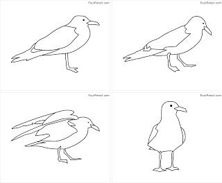 Free printable seagull coloring pages for kids â