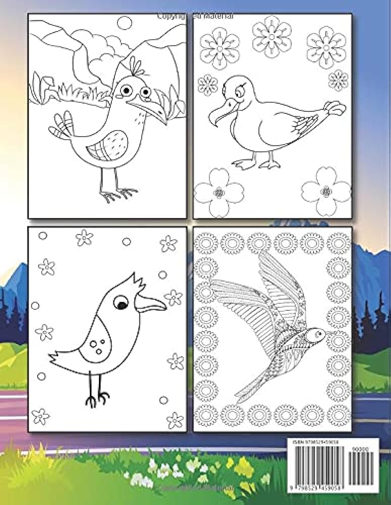 Seagull coloring book featuring fun gorgeous and unique stress relief relaxation seagull coloring pages herrera chandra books