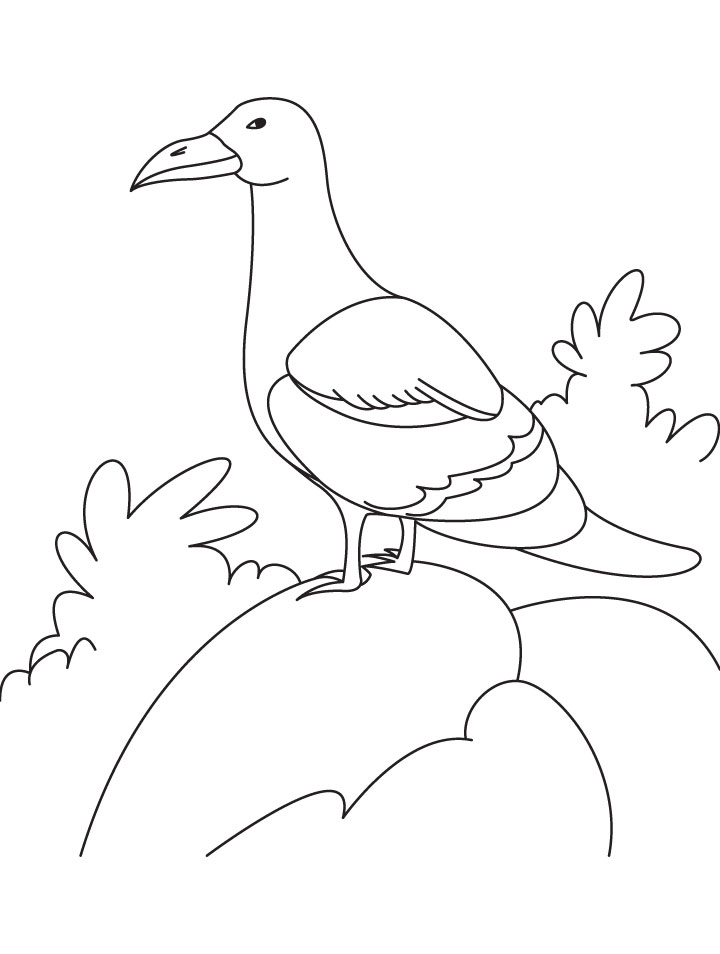 A gull bird is sitting on the rock coloring page download free a gull bird is sitting on the rock coloring page for kids best coloring pages