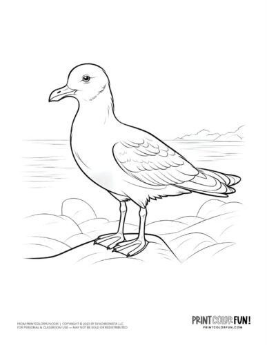 Bird clipart coloring pages creative crafts activities for young birdwatchers at