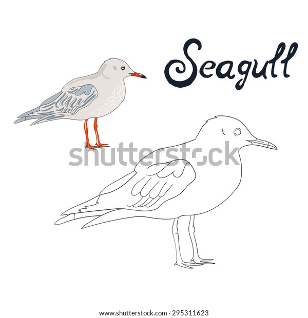 Educational game coloring book seagull bird stock vector royalty free