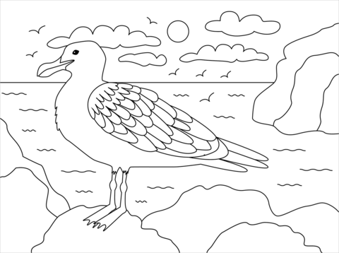 Seagull coloring page free printable coloring pages