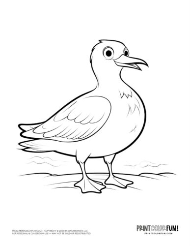 Bird clipart coloring pages creative crafts activities for young birdwatchers at