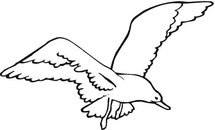 Seagull drawings free printable coloring pages machine embroidery patterns