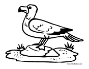 Seagull coloring pages