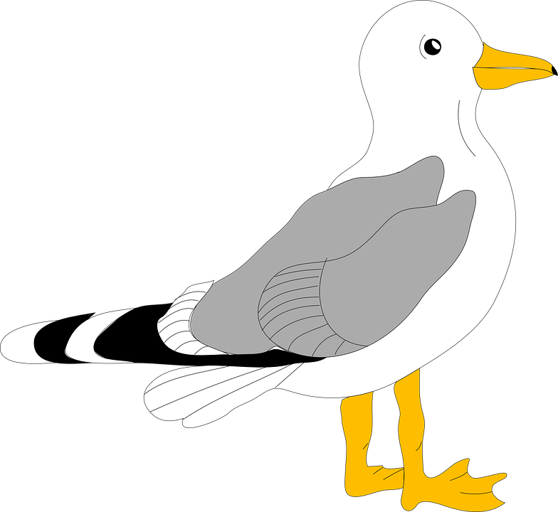 Download seagull bird stand royalty