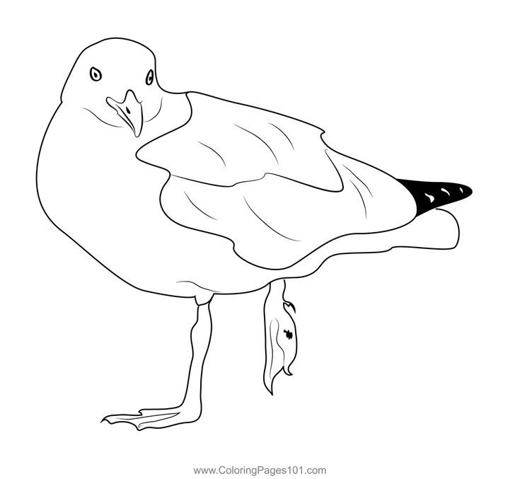 A seagull with a broken leg coloring page coloring pages broken leg coloring pages for kids