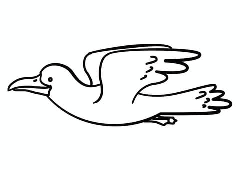 Cartoon seagull coloring page free printable coloring pages