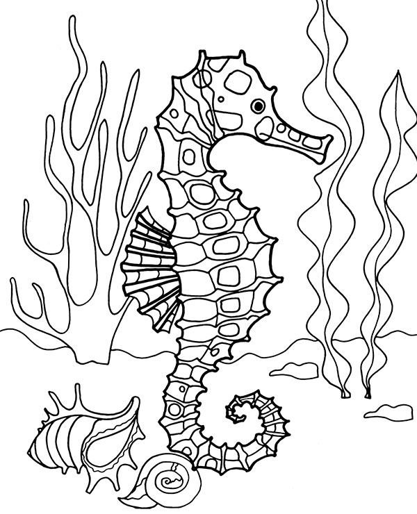 Realistic seahorse coloring page