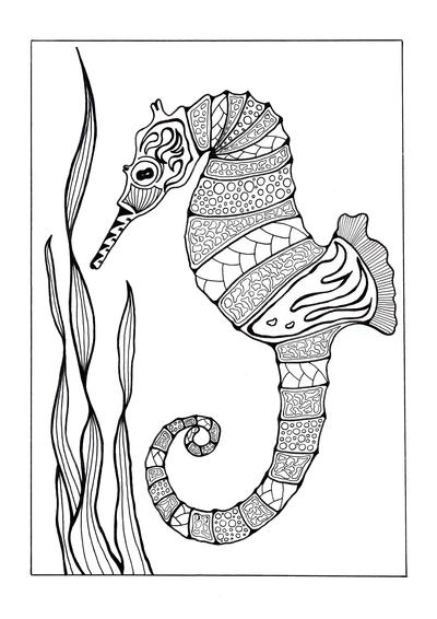 Colorful seahorse adult coloring page