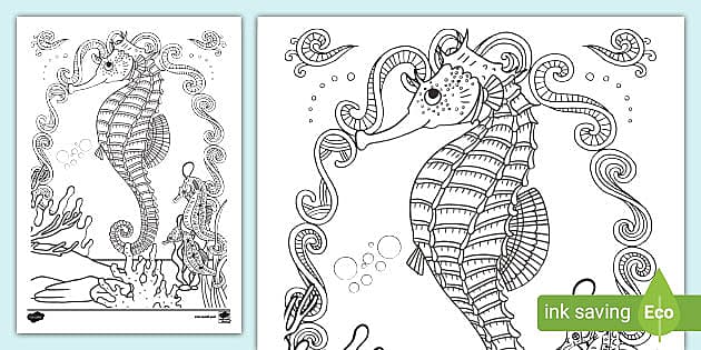 Seahorse mindfulness louring teacher made