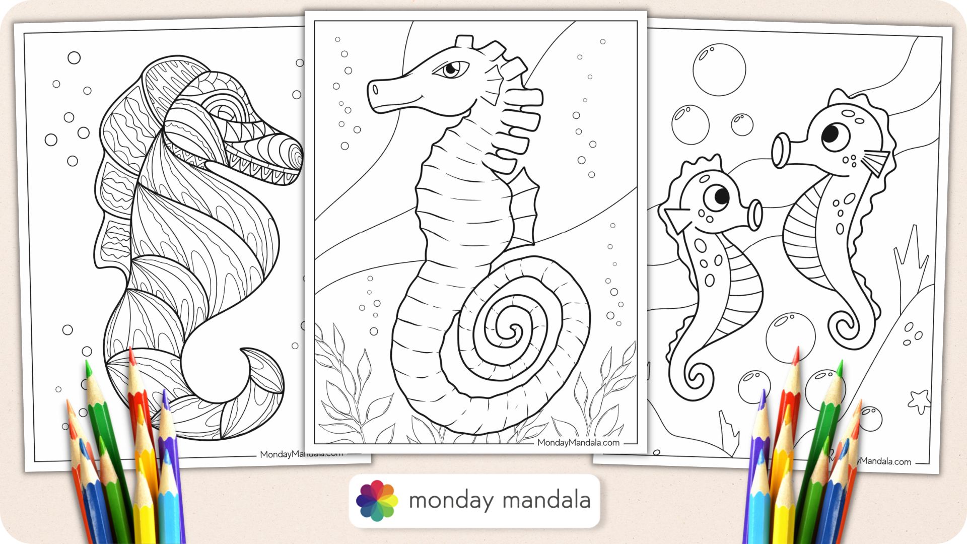 Seahorse coloring pages free pdf printables