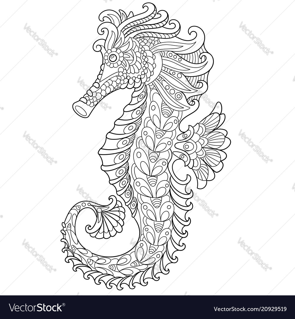 Seahorse coloring page royalty free vector image