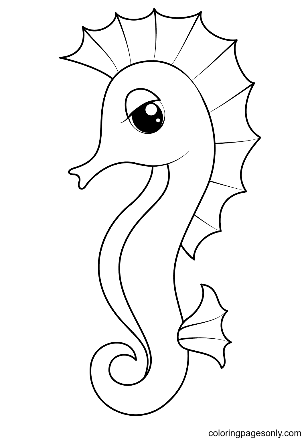 Seahorse coloring pages printable for free download