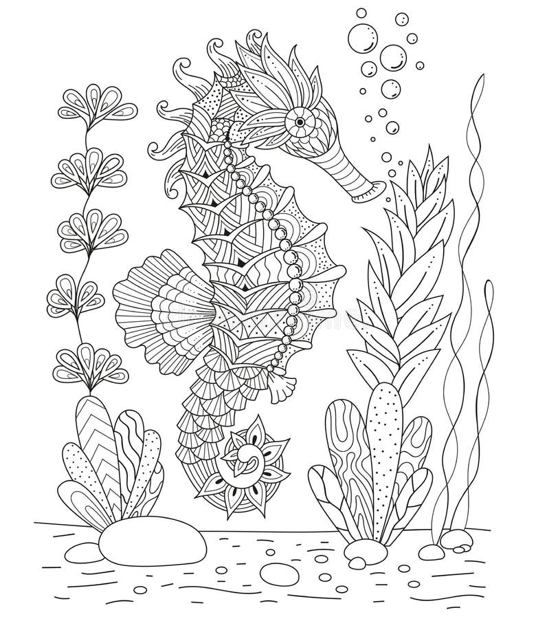 Coloring book seahorse stock illustrations â coloring book seahorse stock illustrations vectors clipart