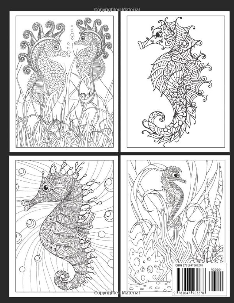Seahorse coloring book beautiful stress relief coloring pages for grown