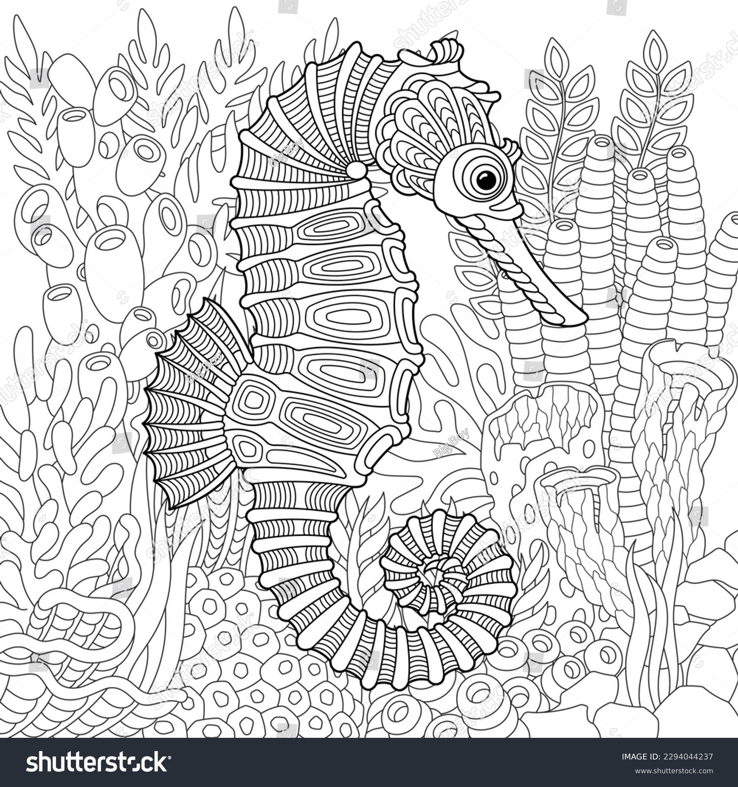 Seahorse adult coloring book images stock photos d objects vectors