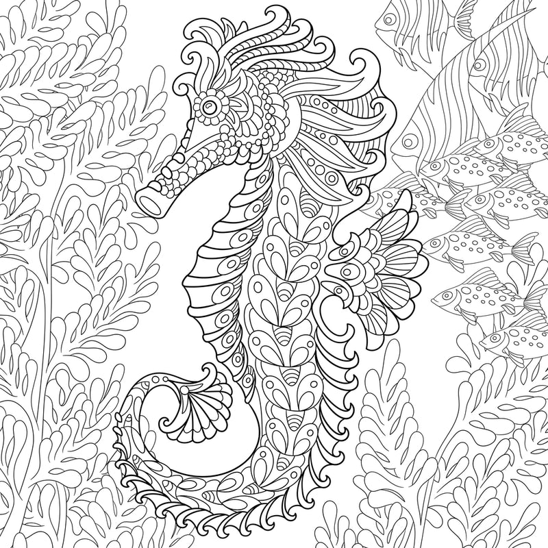 Seahorse coloring page decal â