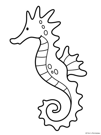 Seahorse coloring page â tims printables