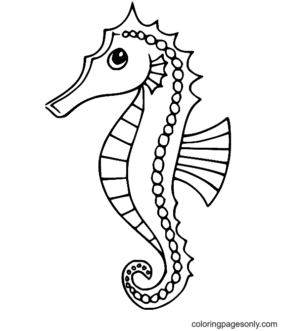 Seahorse coloring pages printable for free download