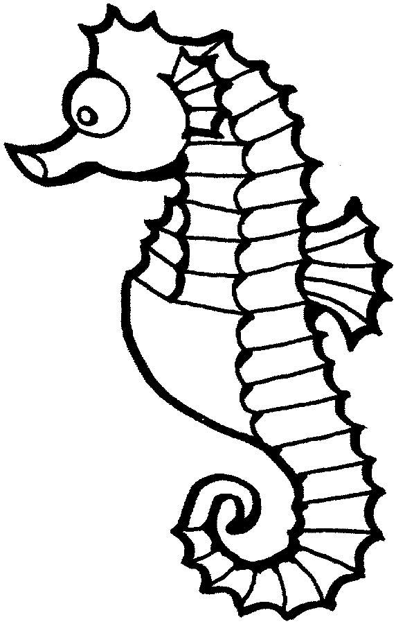 Seahorse loring page for kids