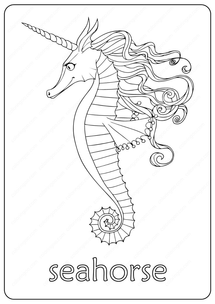 Printable cute seahorse coloring pages print seahorse coloring pages drawing pages free animals colâ coloring pages cute coloring pages animal coloring books