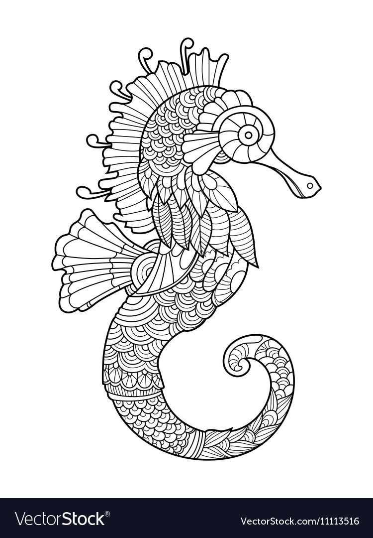 Sea horse coloring book for adults royalty free vector image