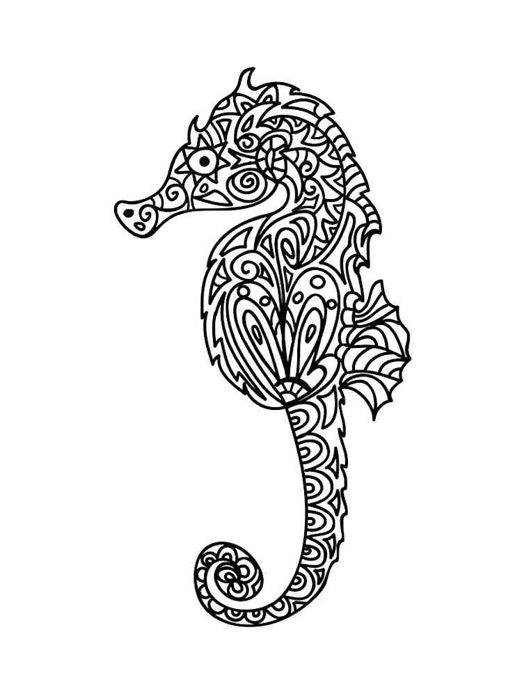 Seahorse coloring pages for adults