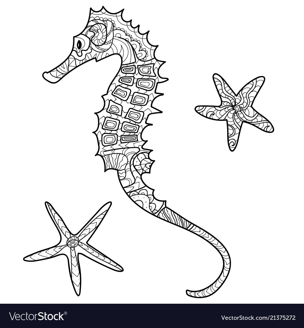 Sea horse shells pattern coloring book page vector image