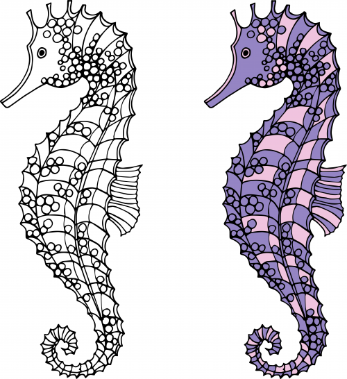 Seahorses coloring page