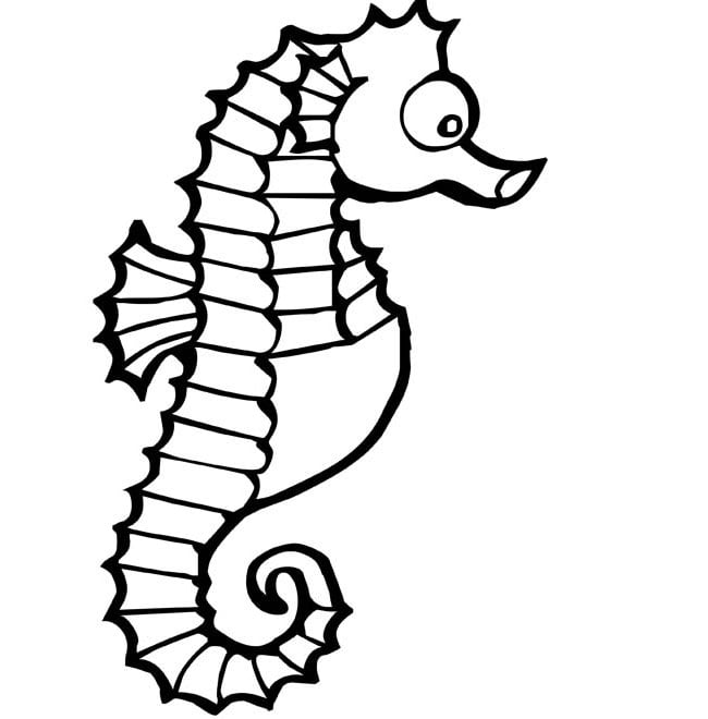 Seahorse shape s crafts colouring pages