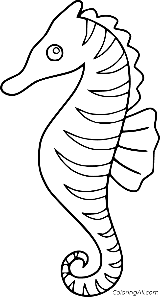 Seahorse coloring pages