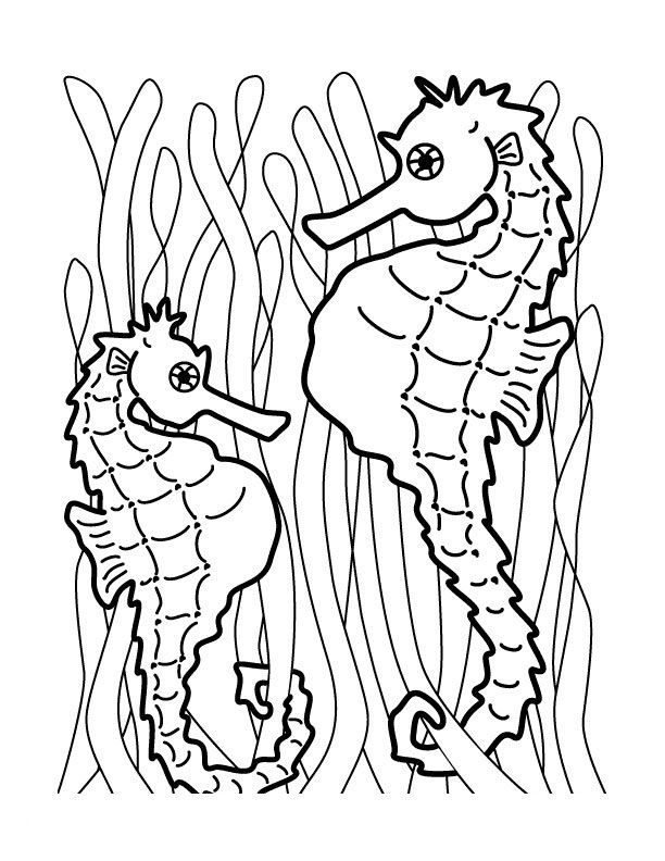 Free printable seahorse coloring pages for kids horse coloring pages animal coloring pages horse coloring