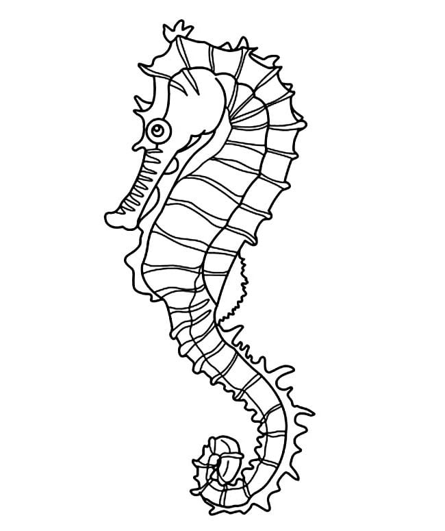 Seahorse shape s crafts colouring pages