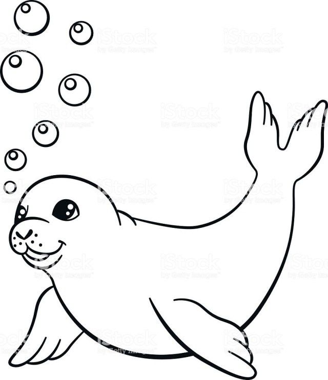 Exclusive picture of seal coloring pages