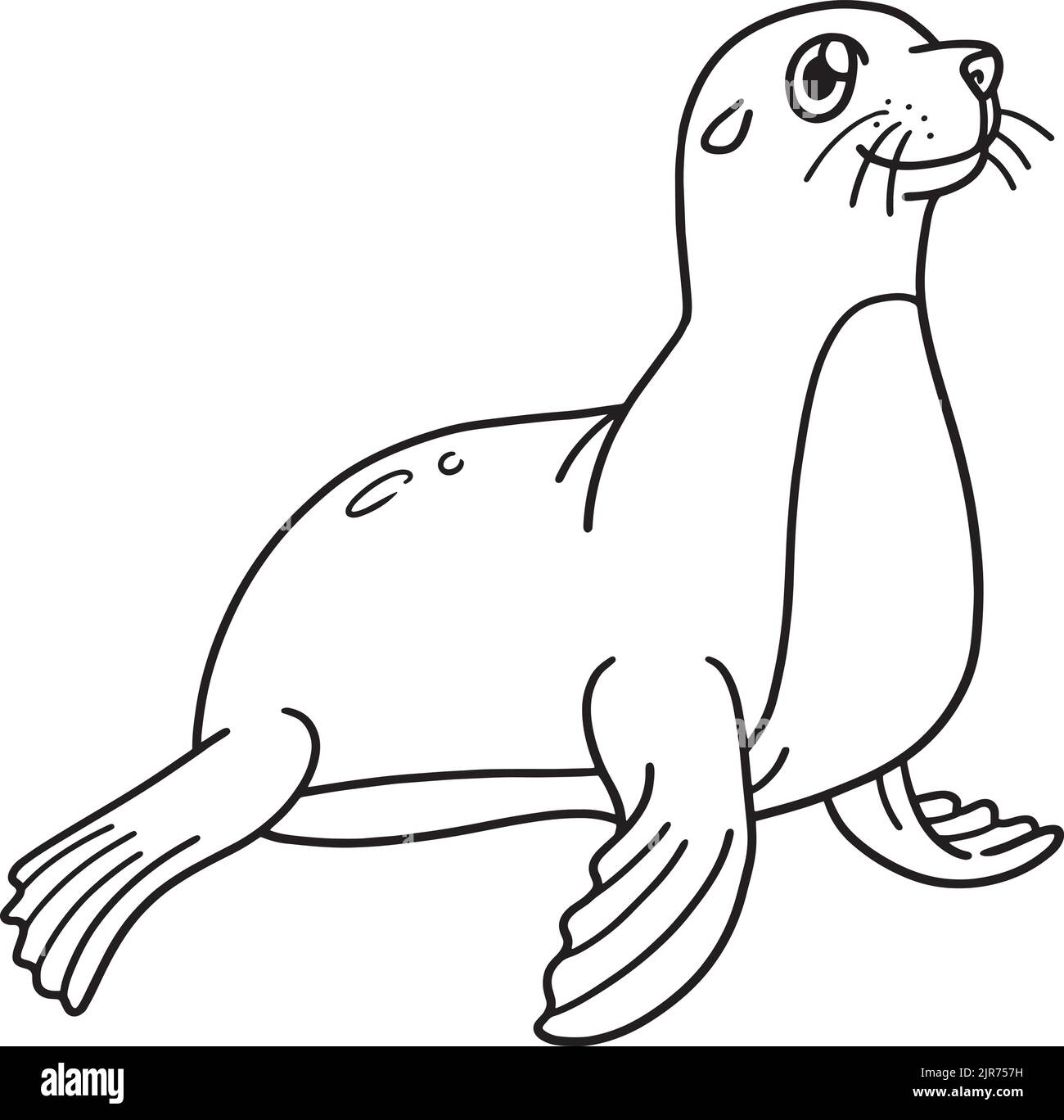 Seal animal drawing black and white stock photos images