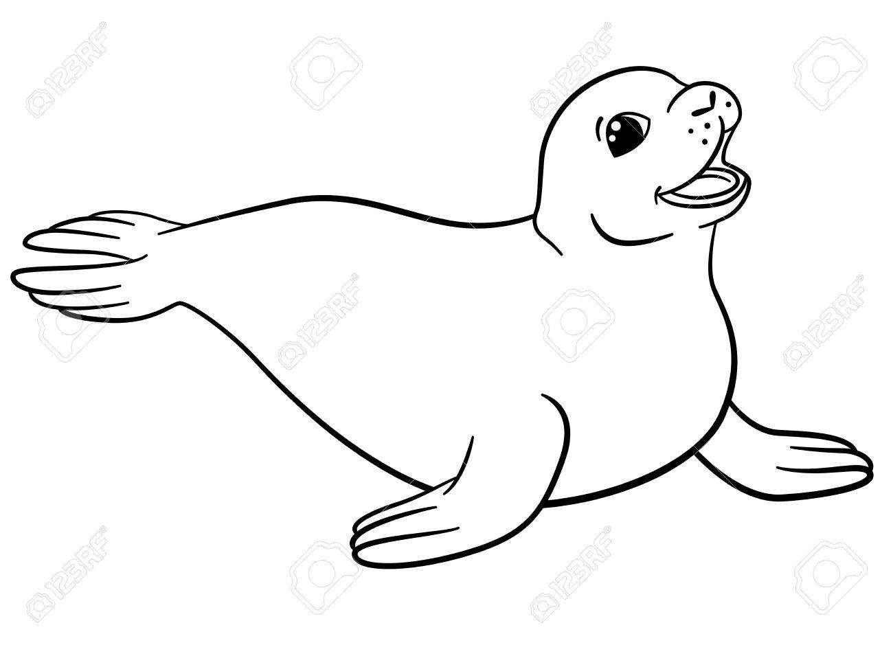 Coloring pages little cute seal smiles royalty free svg cliparts vectors and stock illustration image