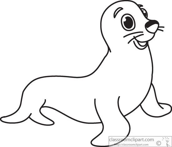 Animals seal