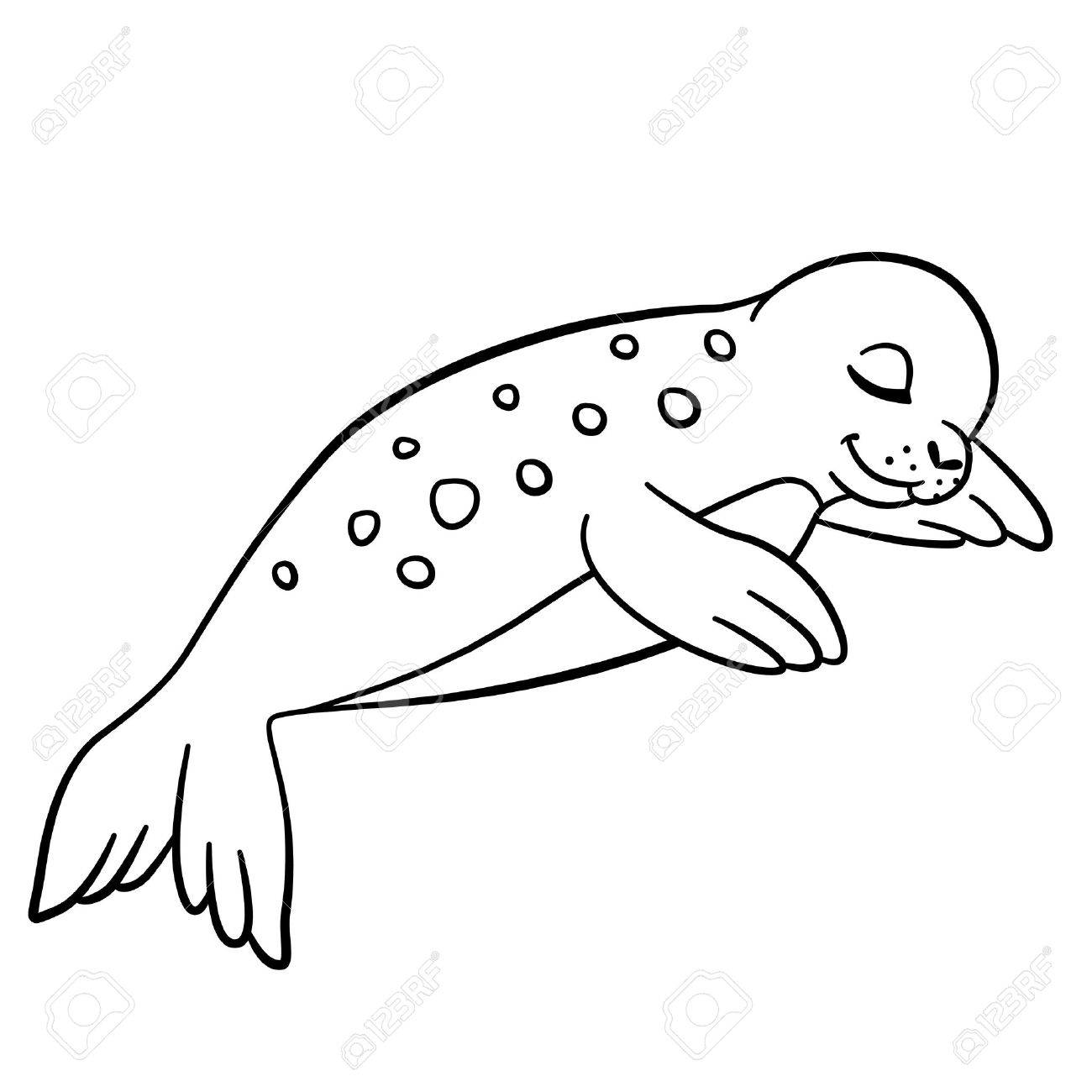 Coloring pages little cute spotted baby seal sleeps and smiles royalty free svg cliparts vectors and stock illustration image