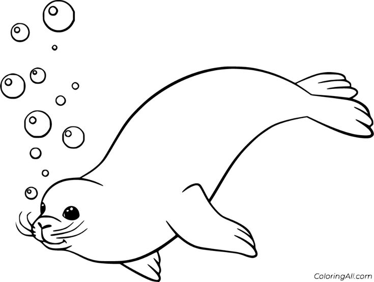 Free printable seal coloring pages in vector format easy to print from any device and automatically fit aâ hand painted rocks coloring pages online wall art