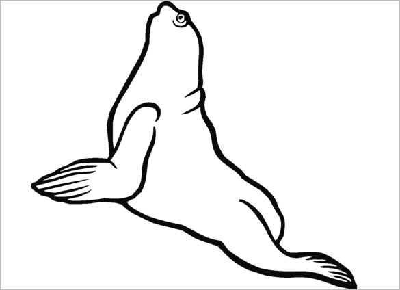 Seal s crafts colouring pages